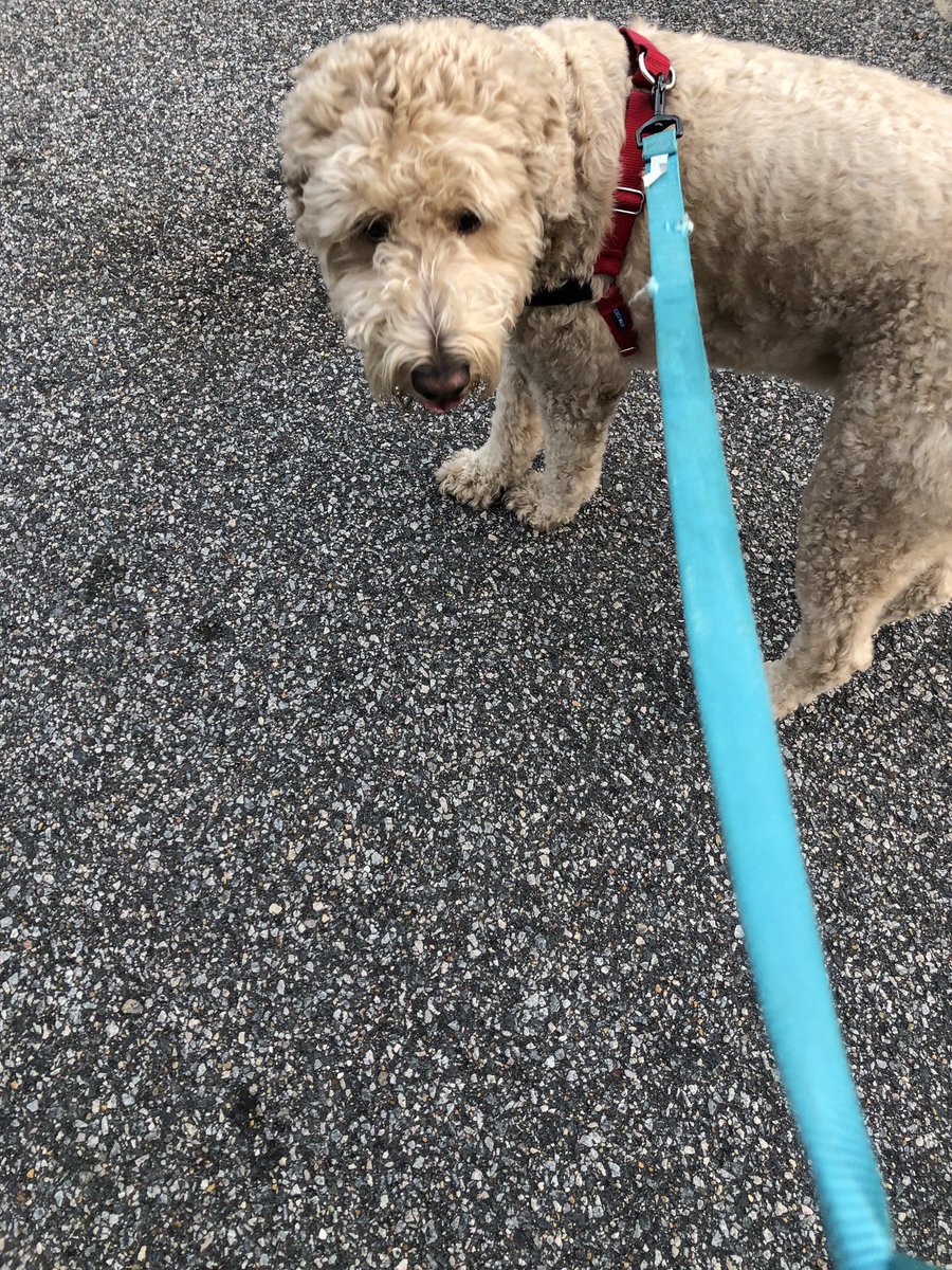 Nanette Perusse tweet media