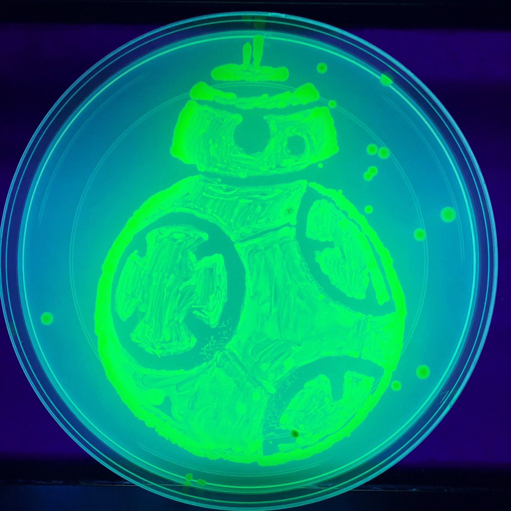 In a galaxy not so far away...
#sciart #starwars