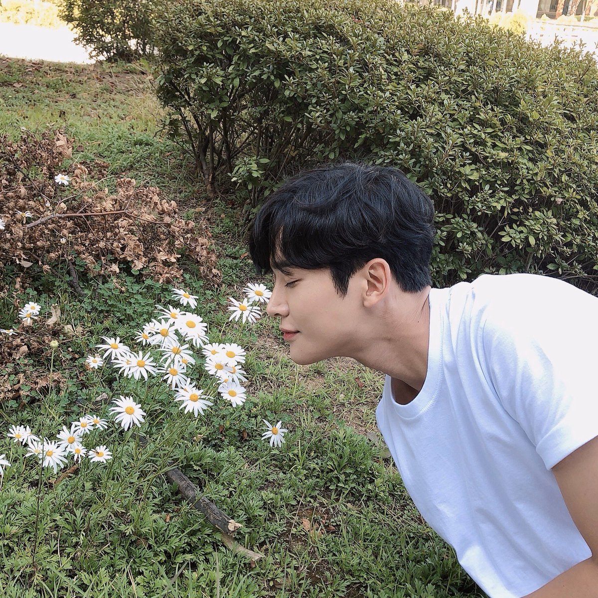 rowoon pics #sf9 tweet media