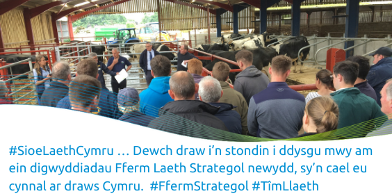 AHDB_Dairy's tweet photo. #WelshDairyShow … Visit our stand and find out more about our new Strategic Dairy Farm events happening across Wales. #StrategicFarm #TeamDairy @FarmingConnect https://t.co/TgYQmsjP2f