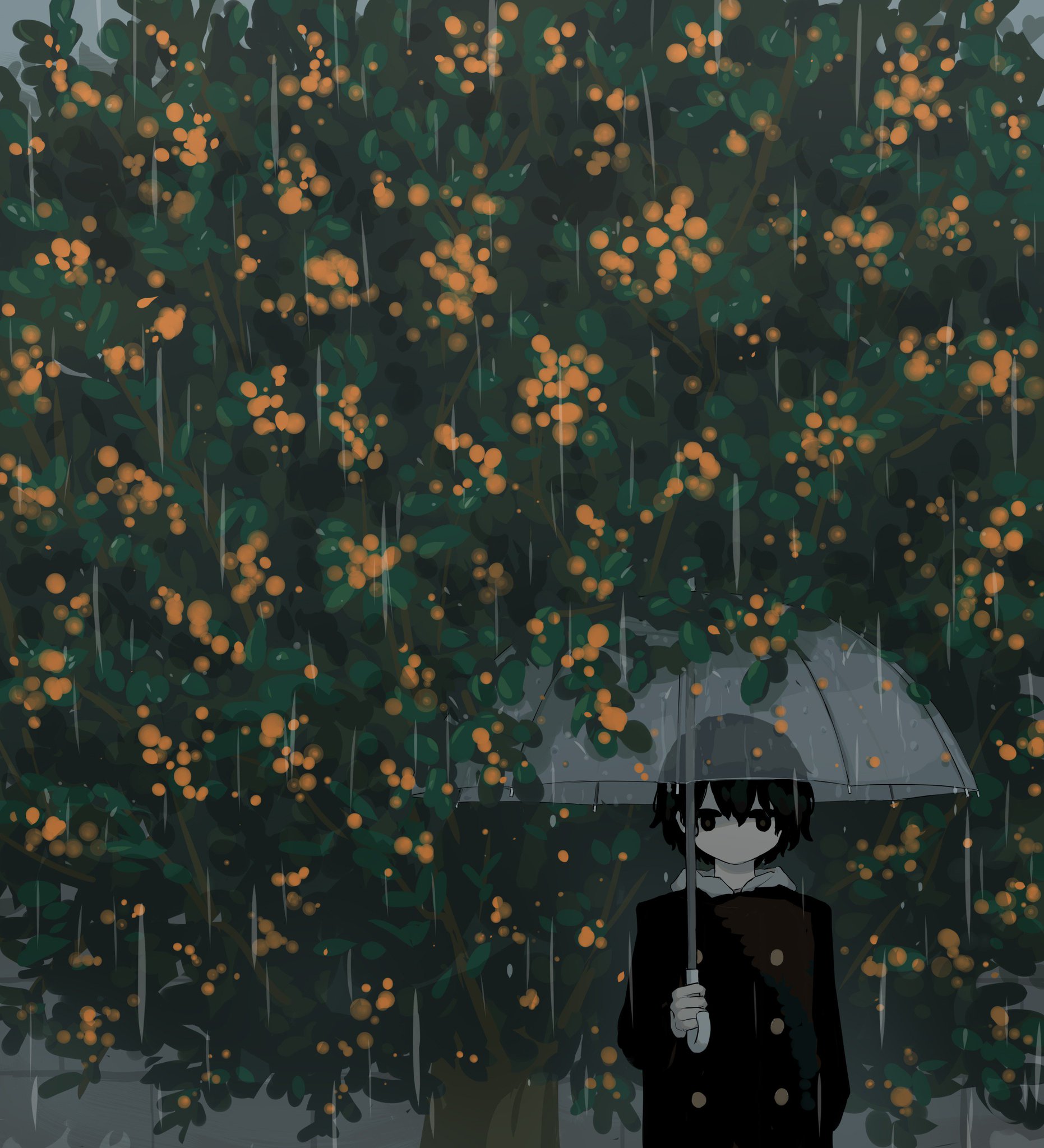 アボガド6 香る秋雨 T Co Wmlmvhzvk6 Twitter