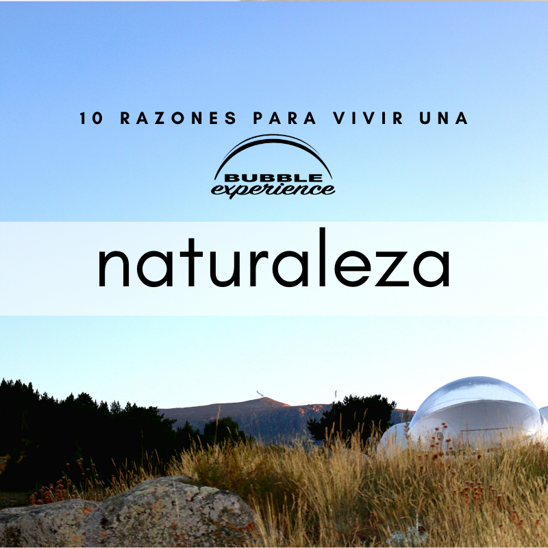 Bubblexperience's tweet photo. N°1 
Naturaleza 
Disfruta de entornos únicos y panorámicas privilegiadas, de excursiones a pie de burbuja, de escuchar el silencio. Vive la experiencia irrepetible de apreciar cada instante.

#bubble #bubbleexperience #glamping #sommuntanya #mountainlovers #igerscatalunya https://t.co/YNFpC5EJNE