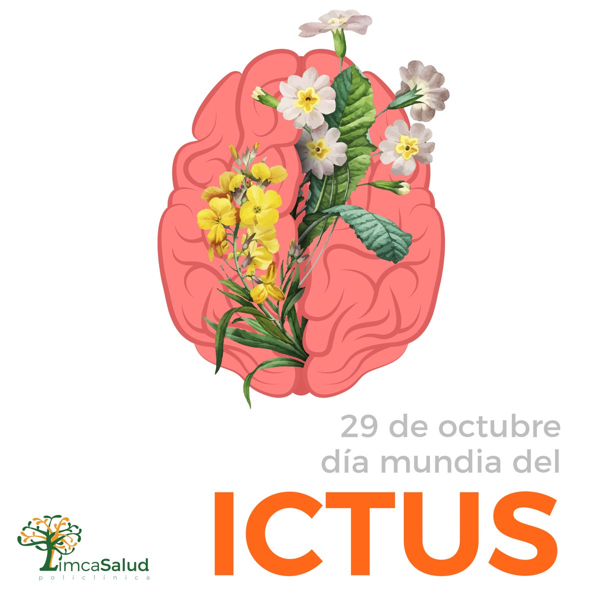 29 de Octubre Día Mundial del Ictus. Es la primera causa de daño cerebral adquirido y la tercera causa de muerte en el mundo occidental, el 90% de ellos se pueden prevenir con pautas de vida saludable y acudir al centro de urgencias más cercano ante los primeros síntomas