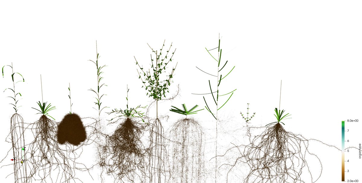 zxrzxr's tweet photo. Videos of #CPlantBox's simulations are here https://t.co/iSkASsBxMc https://t.co/EmocUjKj70