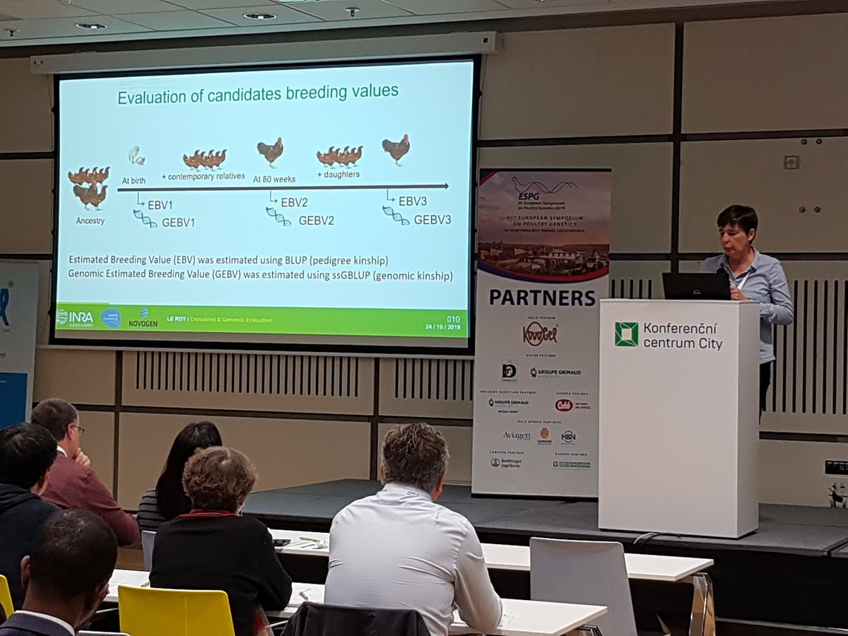 BedereNicolas's tweet photo. Great presentation from Pascale Le Roy about the use of data from crossbred animals for a genomic evaluation of pure line layers #ESPG2019 in Prague #Inra #UMR_PEGASE #Novogen https://t.co/EAfs3HkCnv