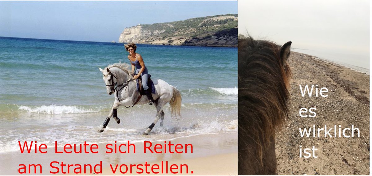 Christian Murschall tweet media