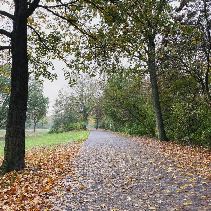 Woke up to do a super short run in the final morning hours before heading back to the Bay. Worth it!<a href="/tag/pffberlin"class="tags"><span>#pffberlin</span></a><a href="/tag/connectioncardio"class="tags"><span>#connectioncardio</span></a>