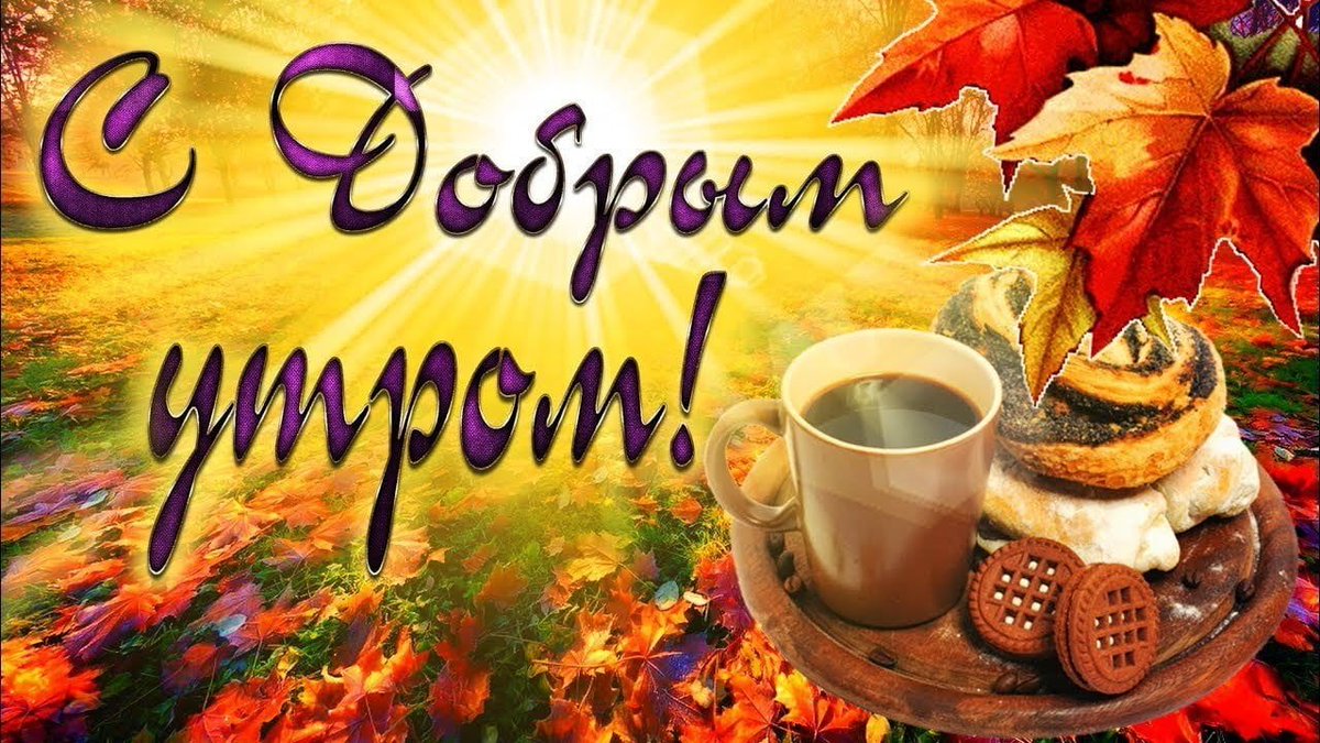 liudmila tweet media