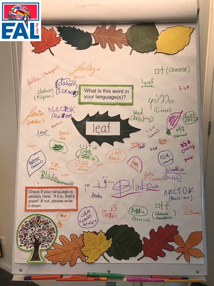 ISH_EAL's tweet image. Autumn 🍂 has definitely arrived in the Netherlands 🇳🇱 as leaves are changing colours everywhere around us @ishthehaguenl! How do you say ‘leaf’ your #homelanguage? #edchat #edutwitter #ellchat