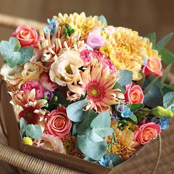 mylogobrand's tweet photo. Warmth and love - a moment to cherish forever! 💖 By @monsieurmarguerite! 🌷😘 #flowers_super_pics #splendid_nature #vision_natura #nature #loves_garden #nature_brilliance #funda_flowers #flor #natura_friends #cat_flors #my_daily_flower #world_bestflower #paixoesporflores #if_a… https://t.co/TSRzyRbcSK