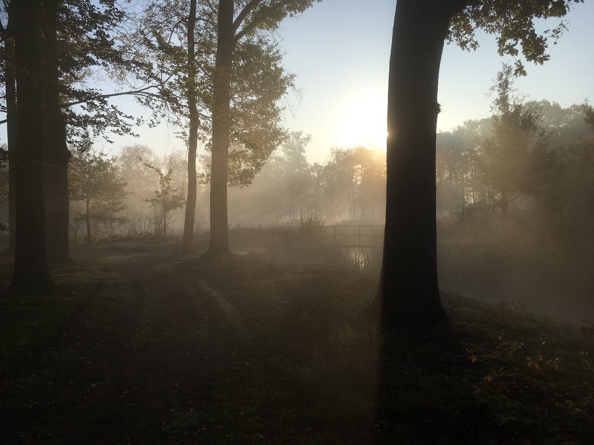 TuinbaasMaarten's tweet photo. Mystieke ochtend op landgoed #Colckhof @Natuurmonument @GemeenteRaalte @ds_Salland @SallandNieuws https://t.co/JWQkaGEbvh