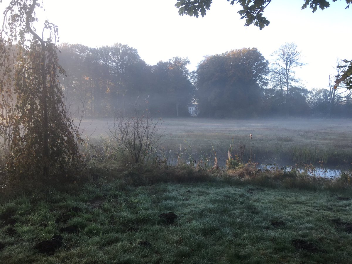 TuinbaasMaarten's tweet photo. Mystieke ochtend op landgoed #Colckhof @Natuurmonument @GemeenteRaalte @ds_Salland @SallandNieuws https://t.co/JWQkaGEbvh