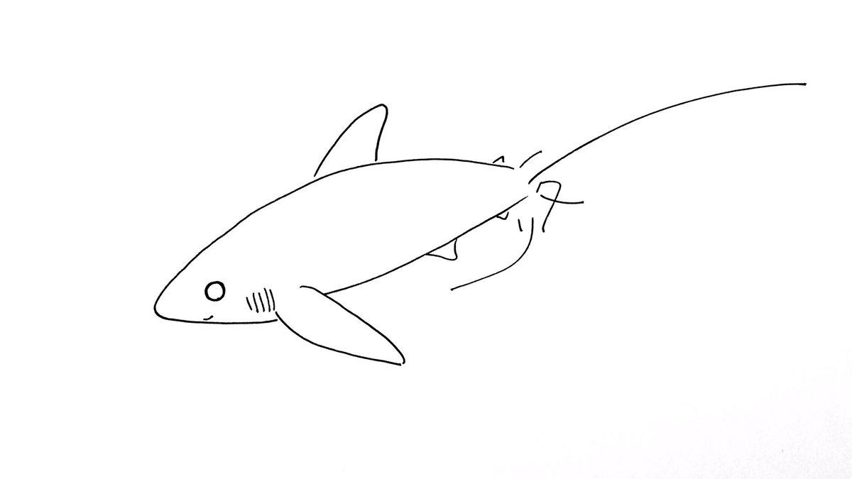 けいこっとん Sur Twitter 誰かの推し作家になりたい ゆるいサメのイラスト描いてます 誰かの推しになれたら 嬉しいです サメ イラスト