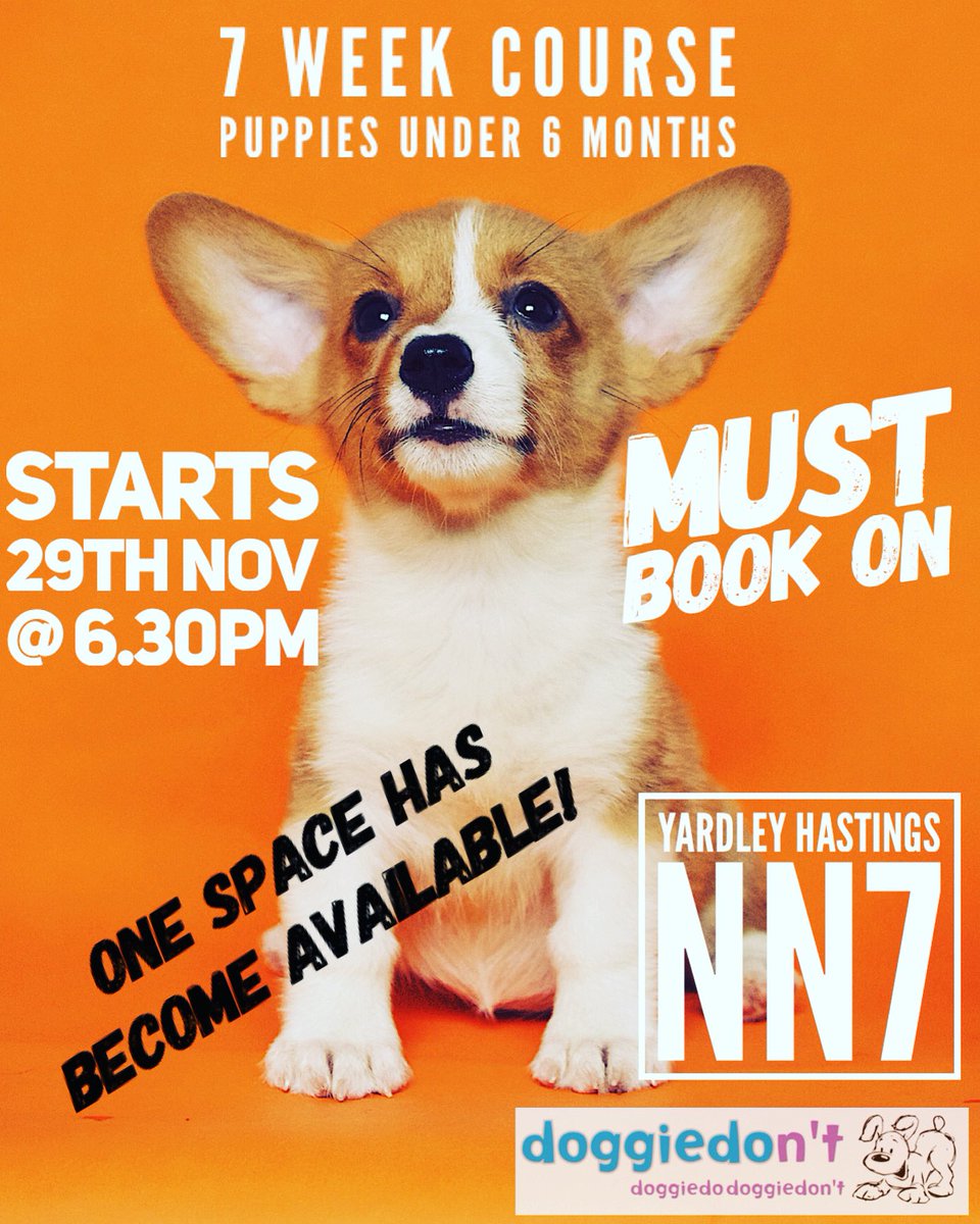 One space has become available #YardleyHastings #hackleton #horton #denton #olney #miltonkeynes #northampton #newpuppy #dogtraining #puppytraining #puppyclasses