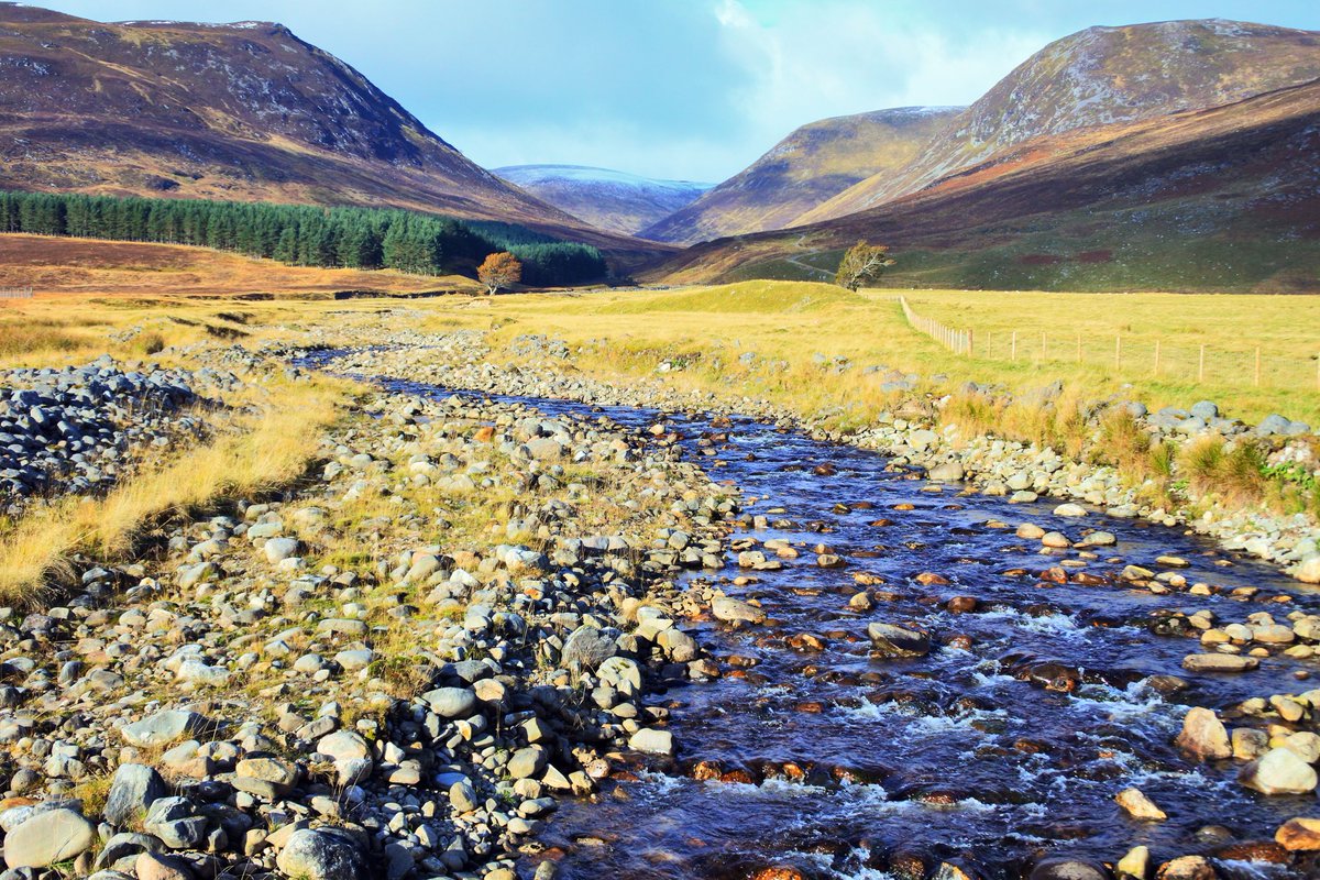 preslavag's tweet photo. Glen Banchor, Newtonmore ๐ด๓ ง๓ ข๓ ณ๓ ฃ๓ ด๓ ฟ #TrueHighlands #HiddenScotland #CairngormsNature #Newtonmore #Scotland https://t.co/G2NJYsqruL