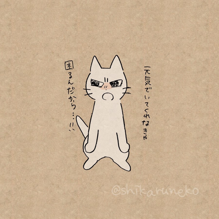 秋口に体調を崩す人としかるねこ 