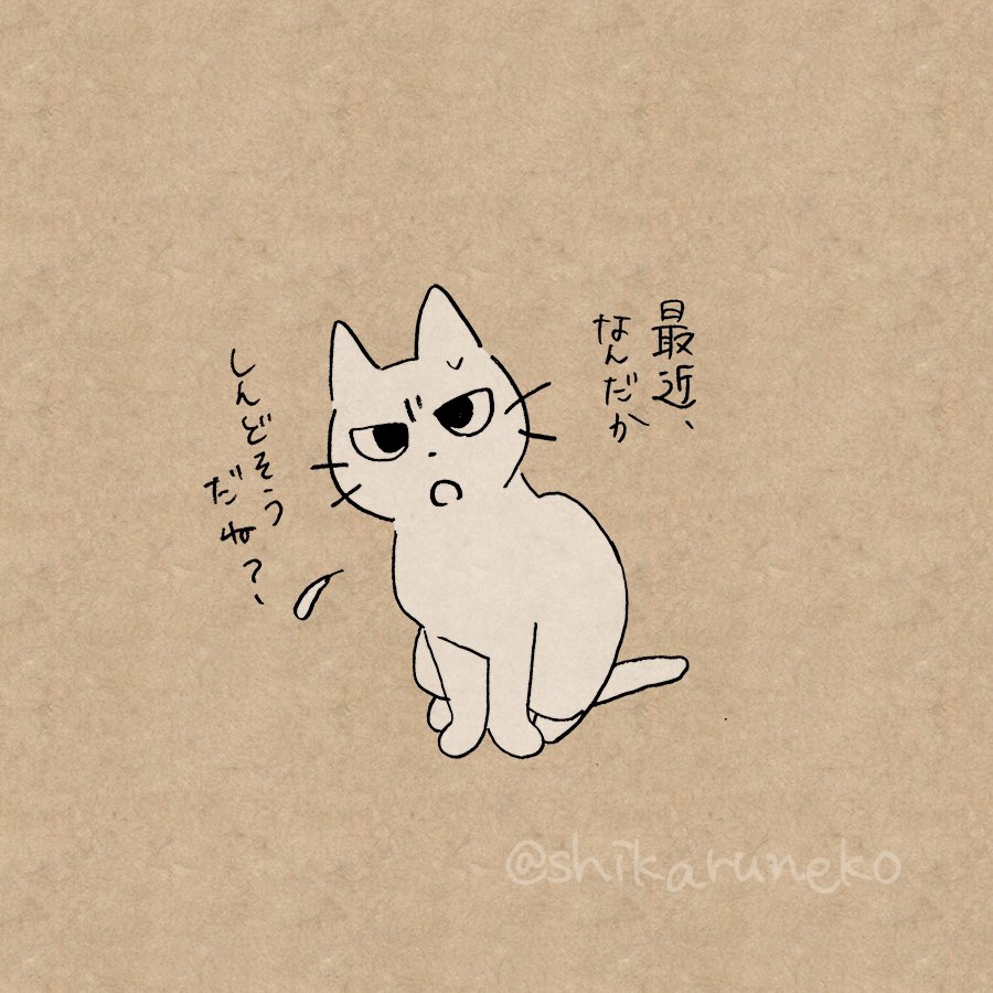 秋口に体調を崩す人としかるねこ 