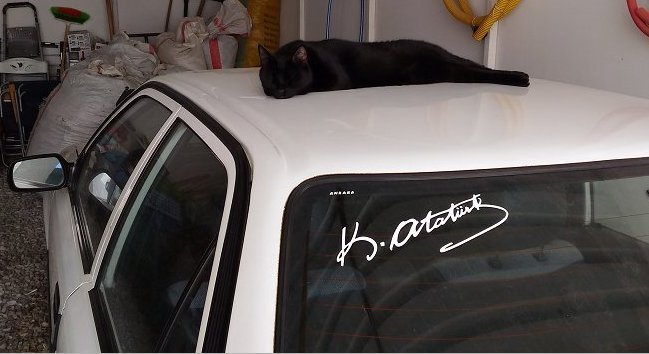 Cumhuriyet bayramımız kutlu olsun.

#29Ekim
#NeMutluTürkümDiyene