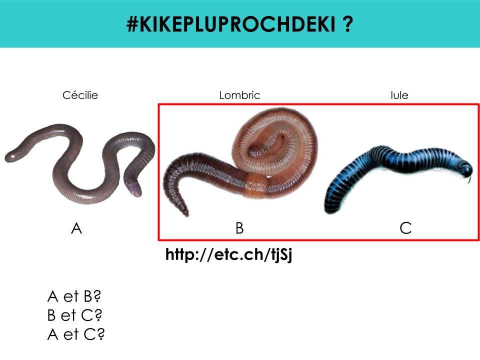 pierrekerner's tweet photo. Et les réponses aux deux quizz #KIKEPLUPROCHDEKI diffusés pour #1SourisDansLAmphi étaient : https://t.co/z8edp5W0B6