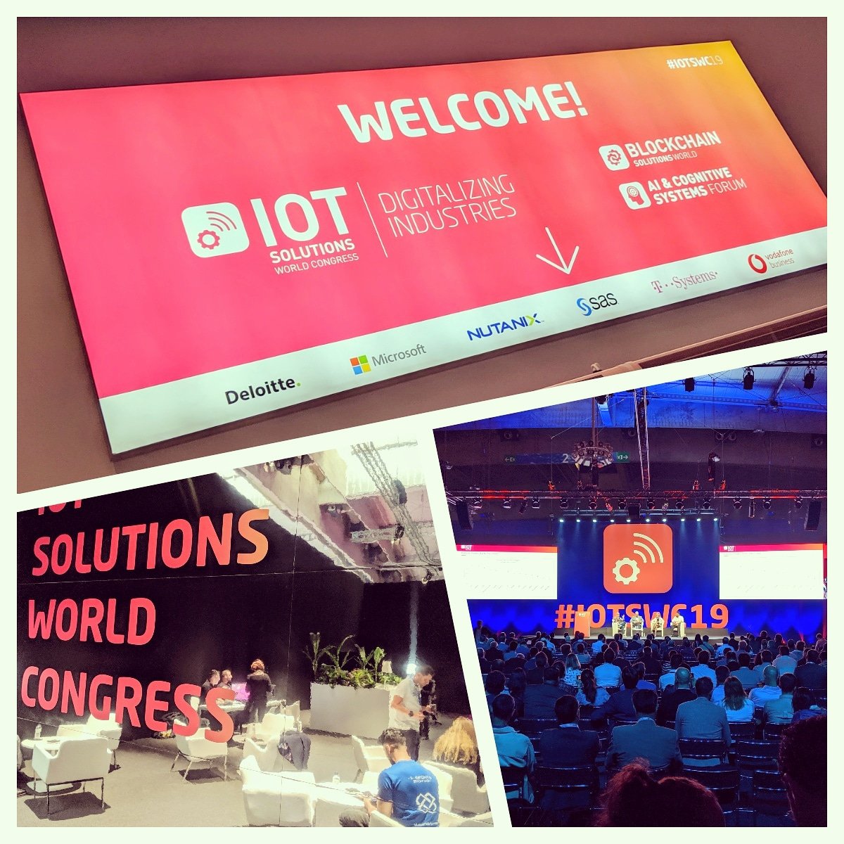 WEB3//IOT tweet media