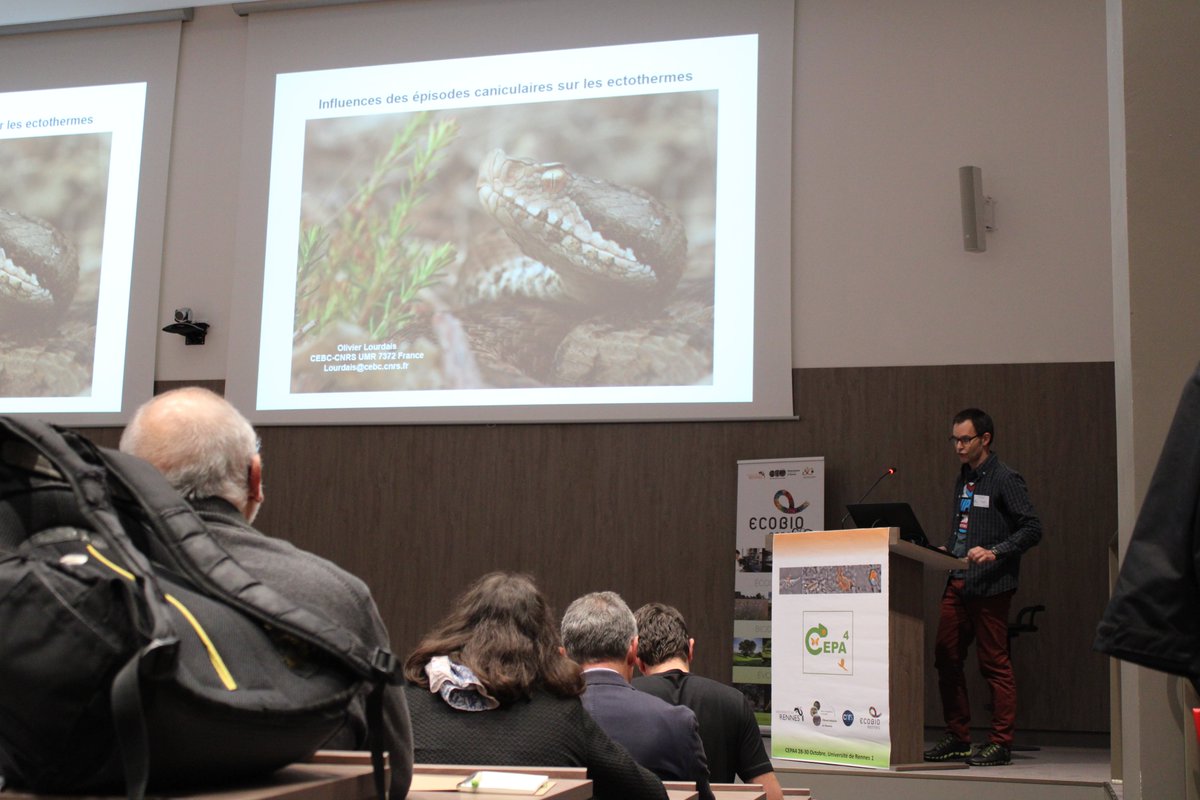Hier, Olivier Lourdais du <a href="/CEBEC/">recep</a> de @Chizé nous parlait des « Influences des épisodes caniculaires sur l’écologie thermique des ectothermes : suivi à long terme et étude expérimentale chez un serpent vivipare » #CEPA4  #Ecobio_Lab #OSURennes #UnivRennes1 #CNRS