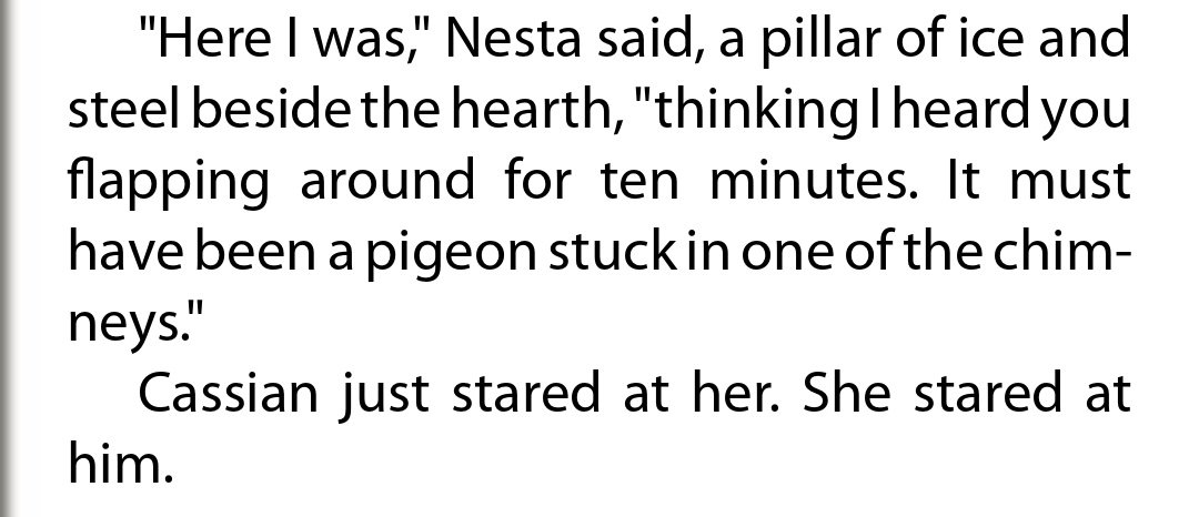 Here I was," Nesta said, a pillar of ice and steel beside the hearth, "thinking I heard you flapping around for ten minutes. It must have been a pigeon stuck in one of the chimneys." NESTA ARCHERON GIVES ZERO FUCKS AND I LOVE HER SM FOR THAT