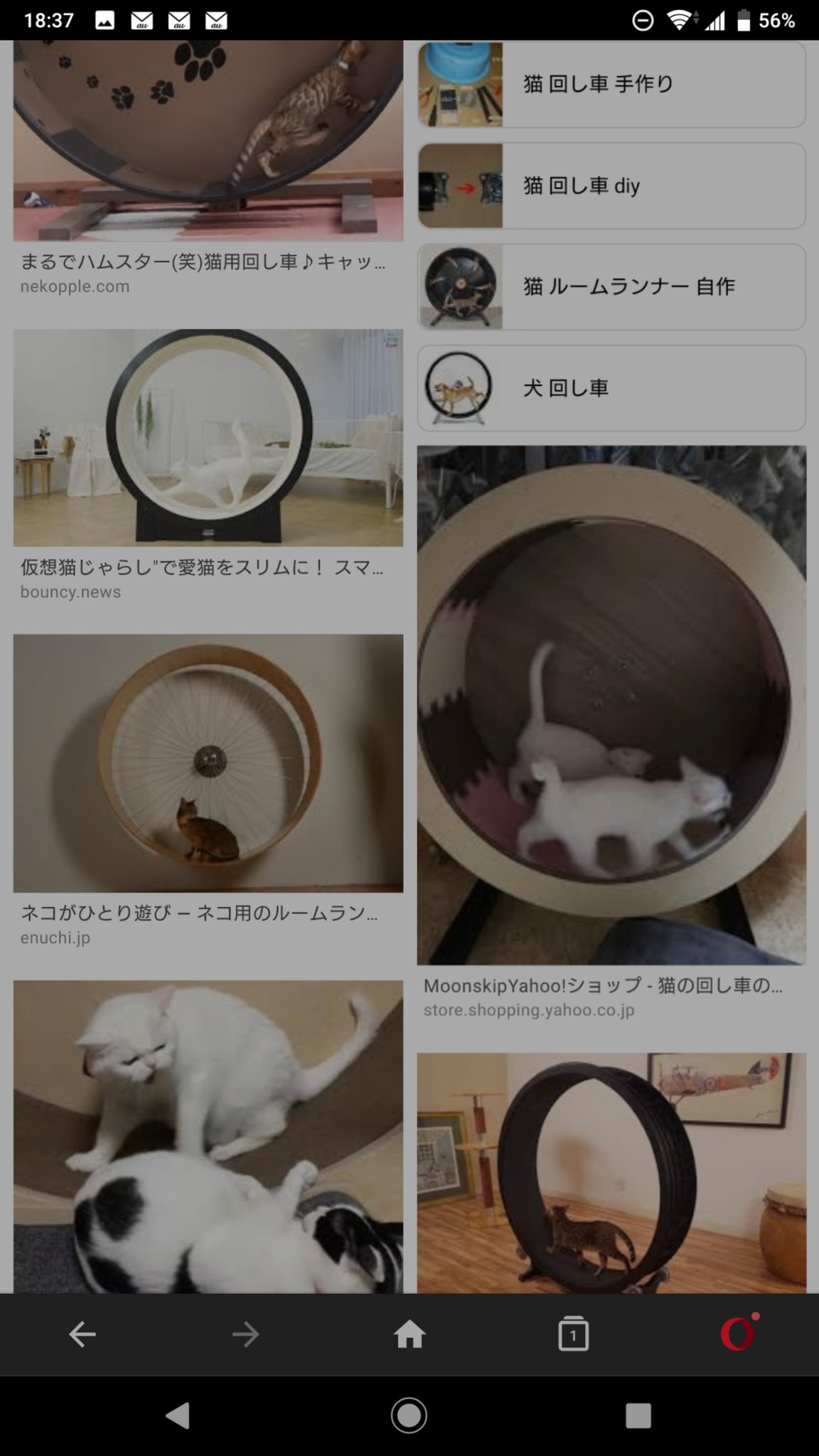 Abies Zeromus A Twitter 猫の回し車というものがあるのですね 欲しいです 置く場所がない T Co 1nbsogqsyt Twitter