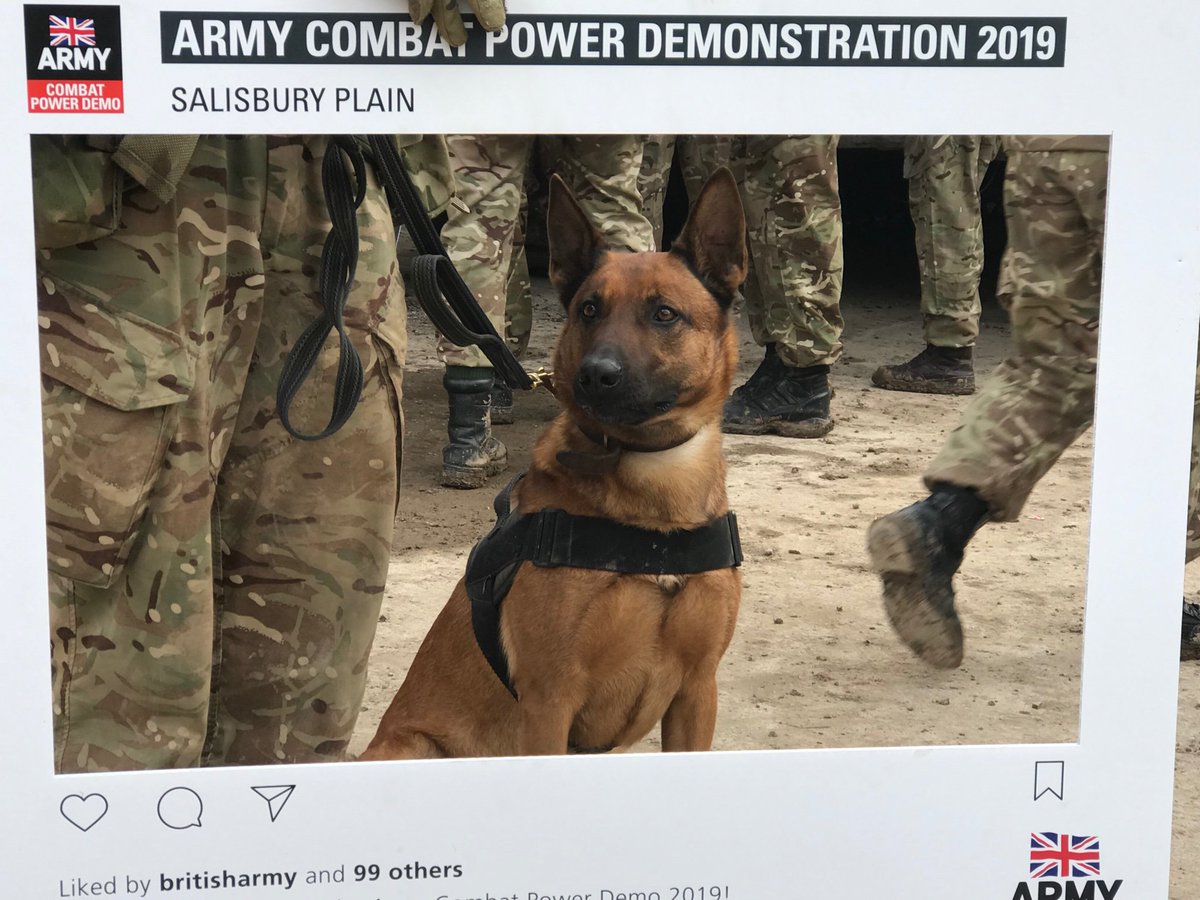 ArmyMediaCommSW's tweet photo. Yesterday’s theme at the Army Combat Power Demonstration was #STEM which was thoroughly enjoyed by cadets, students and our canine friend Lexi #combatpower 

@UrchTyrone 
@ArmySWcomd 
@3rdUKDivision 
@STEMAmbassadors https://t.co/ZYWykizTDA