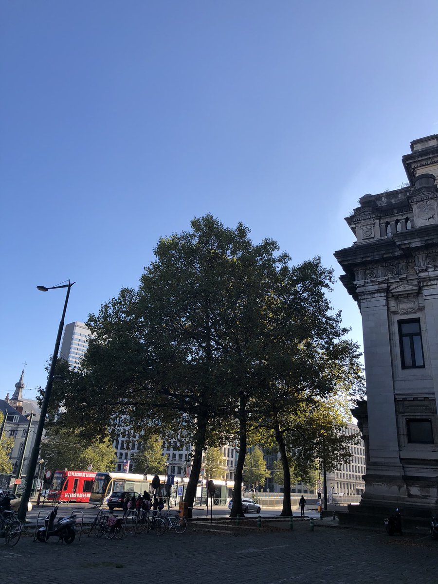 boye_g's tweet photo. El Sol ilumina a la Justicia en Bruselas https://t.co/yeGkvXvm0g