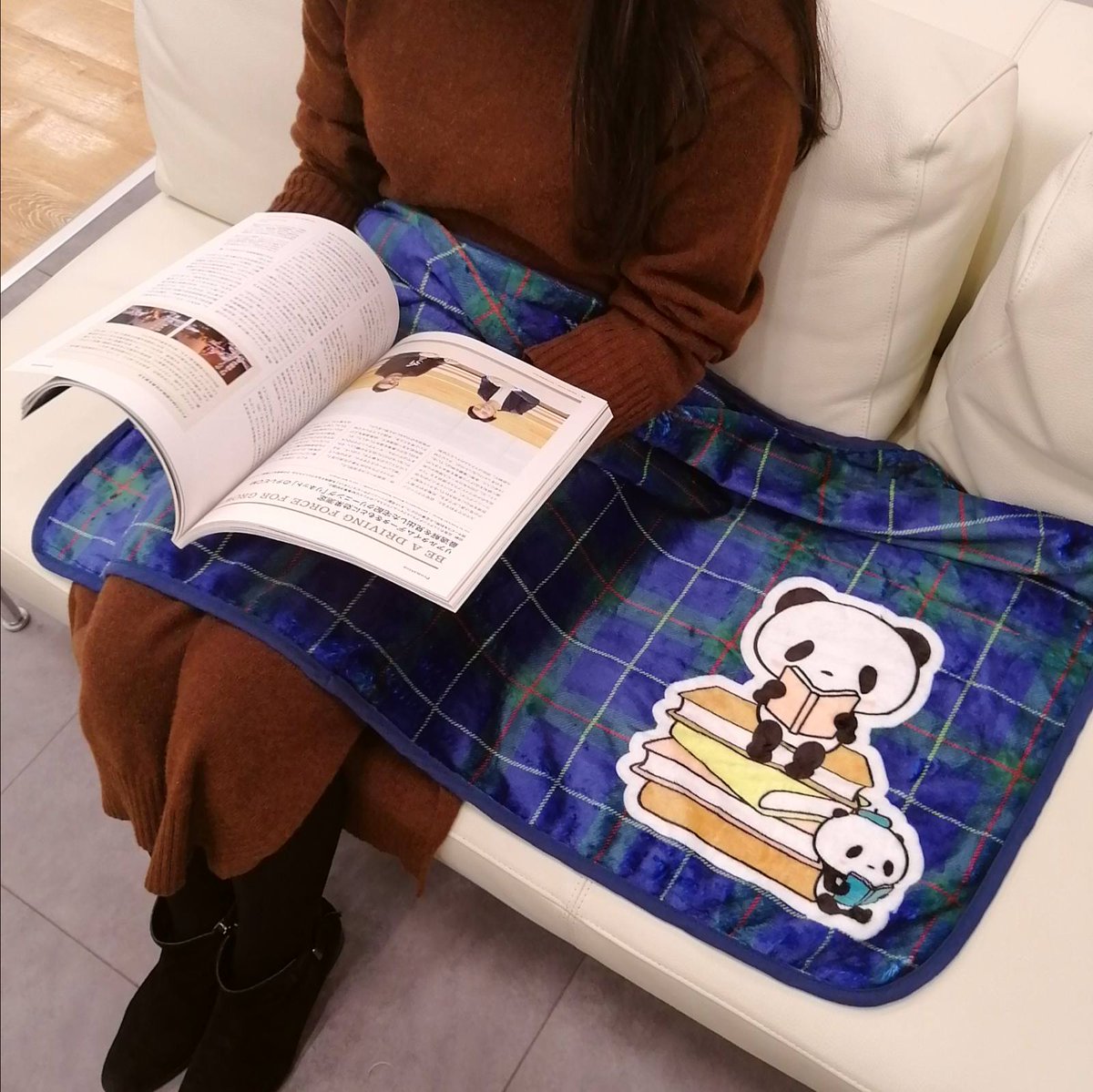お買いものパンダ ブランケットの使用イメージです♪ 1000cm*700cmの