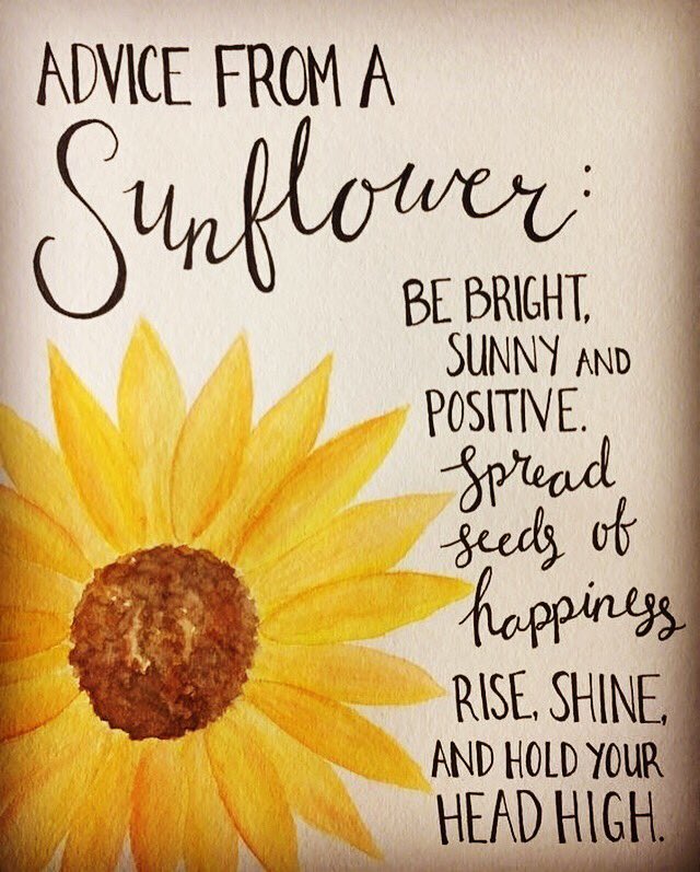 Advice from a sunflower... #goodmorning #staypositive #standtall #bebright #spreadjoyandhappiness #love #positivity #givethanks #tuesdayvibes