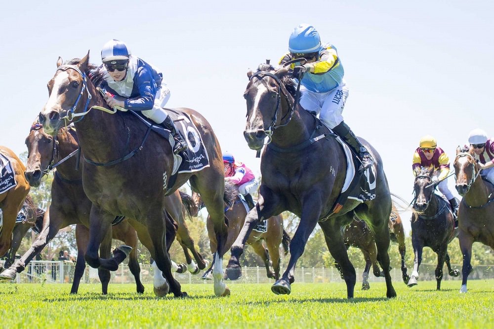 The Copper's Ascot - Wednesday 30/10/19 tips and speedmaps have landed.

thecopper.com.au/the-form/