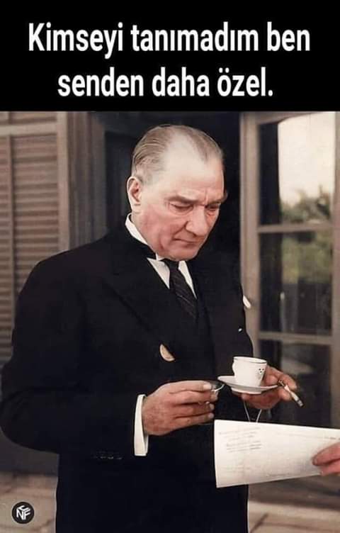 elif kara (@valeelif) on Twitter photo 