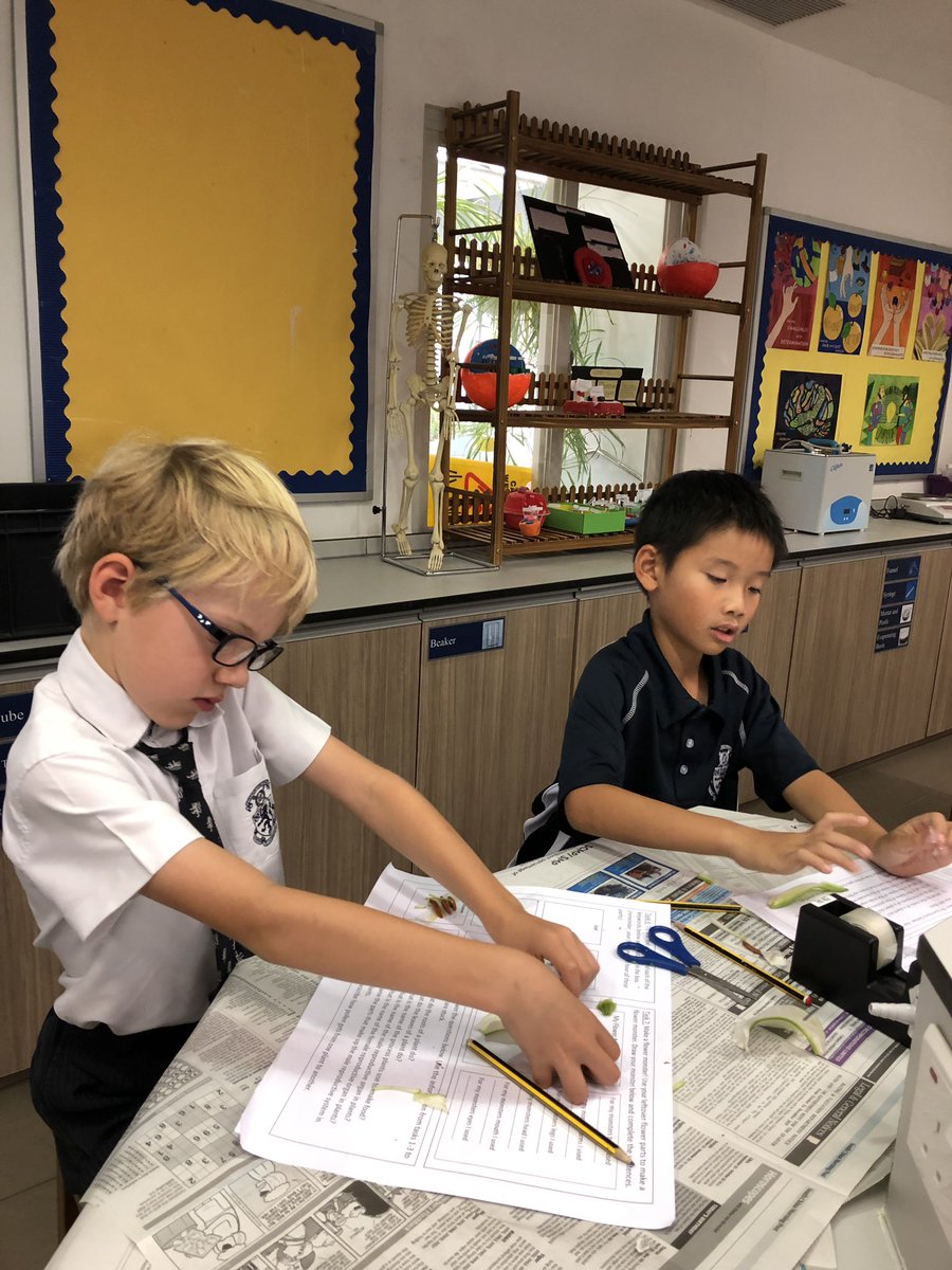 LSGMonaghan's tweet photo. A big thank you to Mr Moss for inviting Year 2 into his Biology lab to learn about the different parts of a flower #HarrowHkYear2 #coolscience https://t.co/2RrzMYnkAK