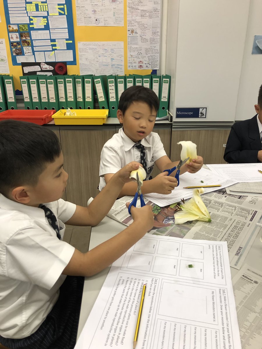 LSGMonaghan's tweet photo. A big thank you to Mr Moss for inviting Year 2 into his Biology lab to learn about the different parts of a flower #HarrowHkYear2 #coolscience https://t.co/2RrzMYnkAK