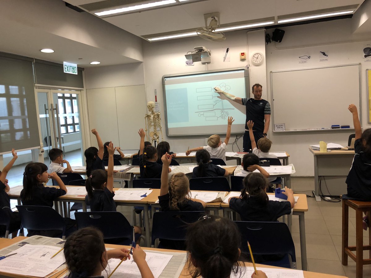 LSGMonaghan's tweet photo. A big thank you to Mr Moss for inviting Year 2 into his Biology lab to learn about the different parts of a flower #HarrowHkYear2 #coolscience https://t.co/2RrzMYnkAK