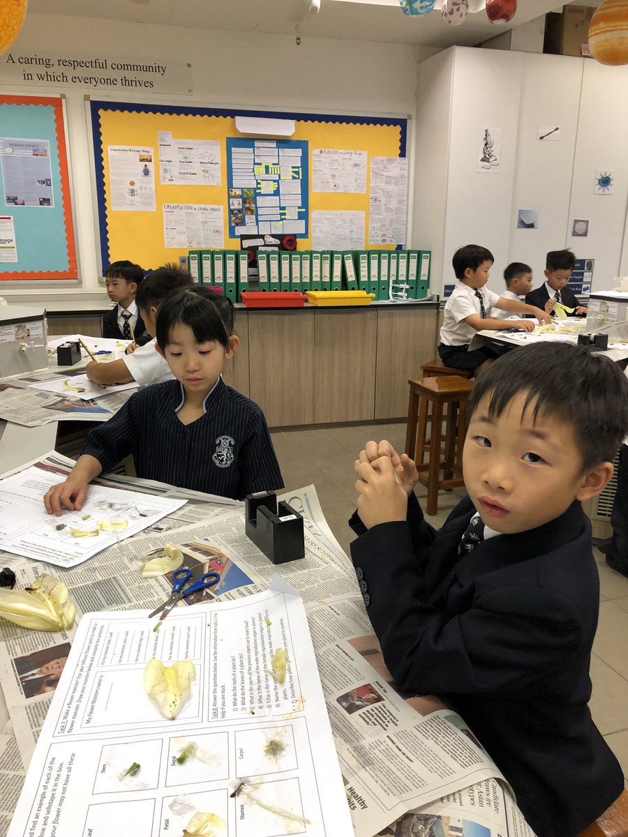 LSGMonaghan's tweet photo. A big thank you to Mr Moss for inviting Year 2 into his Biology lab to learn about the different parts of a flower #HarrowHkYear2 #coolscience https://t.co/2RrzMYnkAK