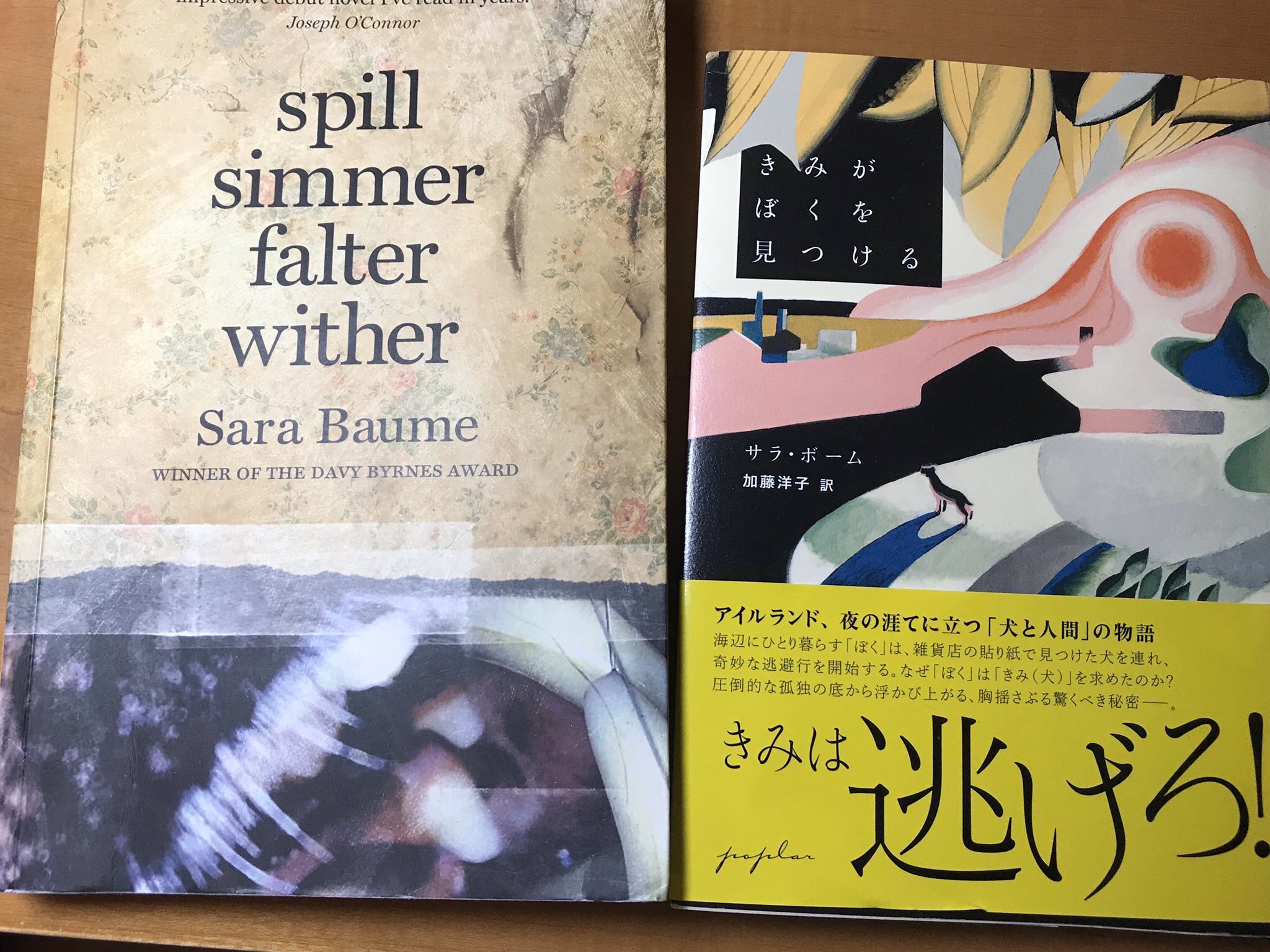 アイルランド大使館 Ireland In Japan Mark Cultureday This W E With Irish Author Sara Baume Eulitfestjp Reading Talk With Yoko Kato Translator Of Her Prizewinning Novel Spill Simmer Falter Wither アイルランド大使館 Ireland In Japan Mark Cultureday This W E With Irish Author Sara Baume Eulitfestjp Reading Talk With Yoko Kato Translator Of Her Prizewinning Novel Spill Simmer Falter Wither