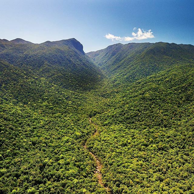 BackCountryBlis's tweet photo. How lucky are birds!! 🦅
Check out the view of @mossmangorge, tucked away in the #daintreerainforest 😍 .
.
.
.
.
.
.
#notbhed
#goodsize
#greentherapy
#ineedwings
#gorgeousgorge
#blueskies
#rainforestbliss
#backcountrybliss
#mossmangorge
#ilove… https://t.co/Rzv0TBYT1b https://t.co/JlUUzQkuEB