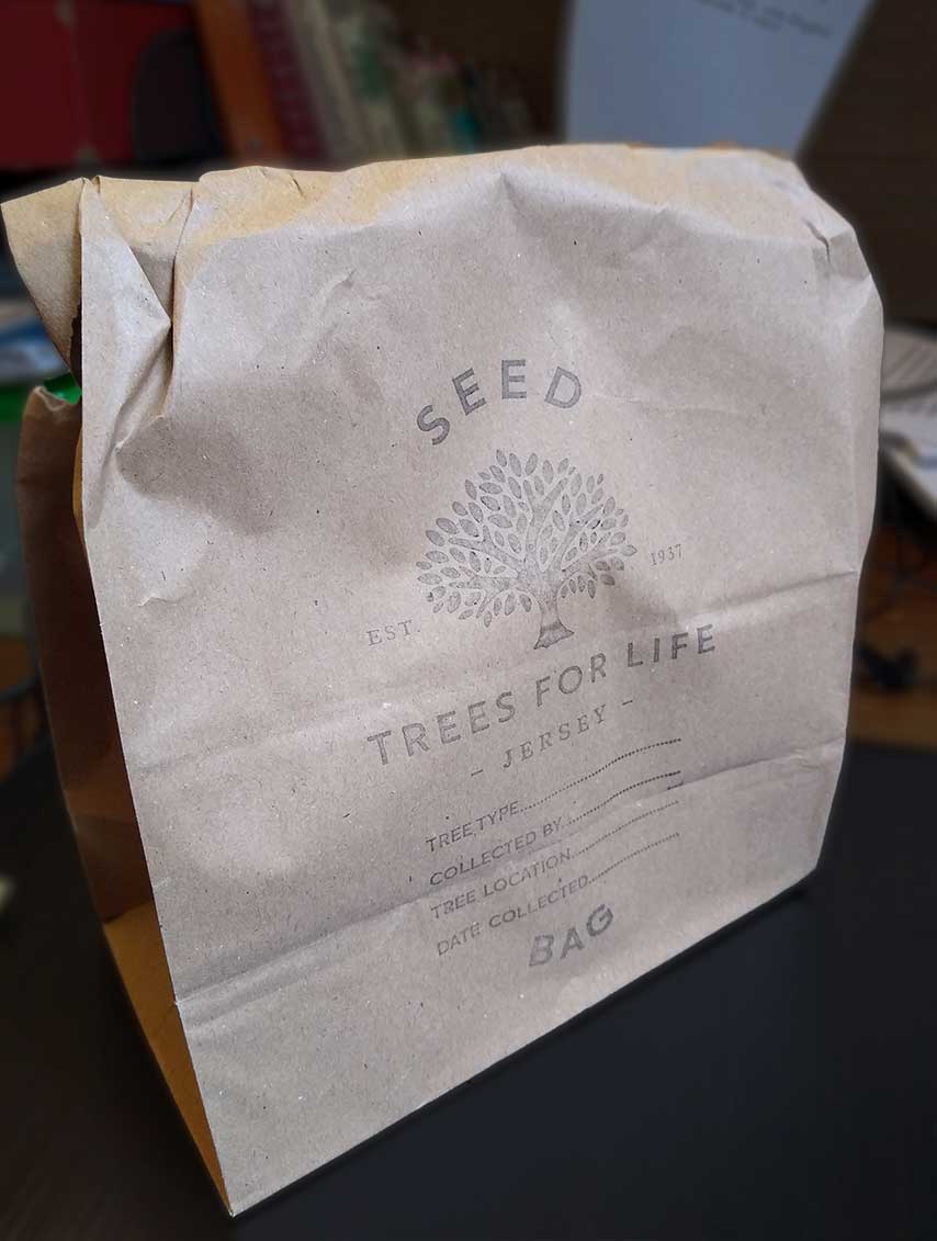 Jersey Trees for Life tweet media