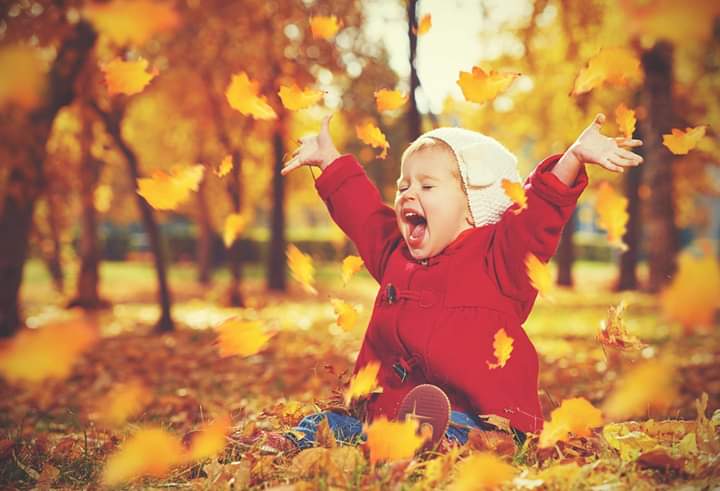 Depyos365's tweet photo. Nu lăsa pe mâine bucuria zilei de azi ✨🎶🎉🍀🌻🌞 https://t.co/4S61vSR77F