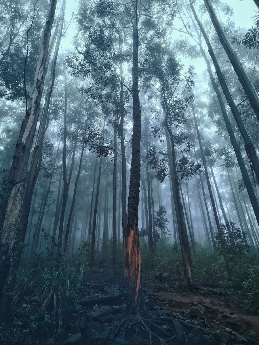 anupudara's tweet image. Heaven.
❤️❤️❤️

#EllaRock #OffSeason #RainPlusMist