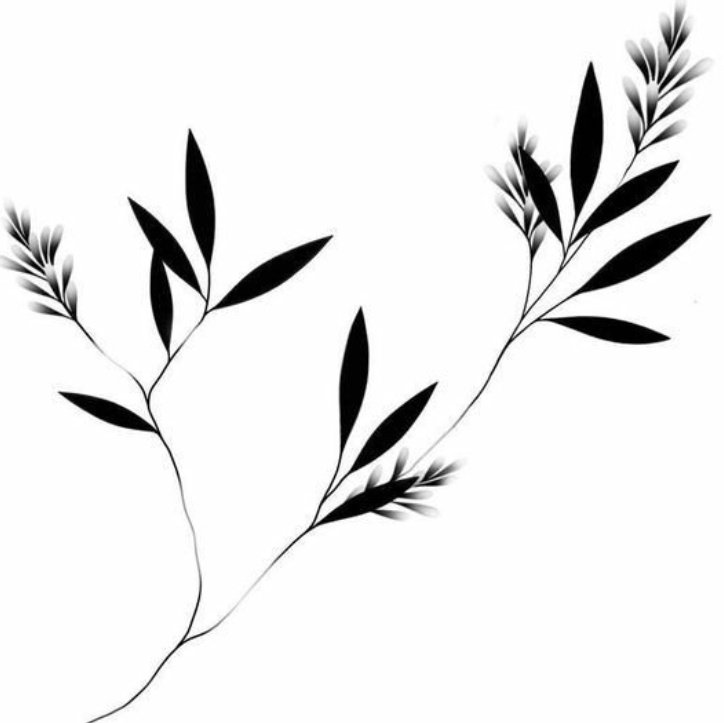 тату веточка эскиз. тату веточка с листьями. эскиз тату веточка с листьями. тату веточка эскиз. эскиз листочка.