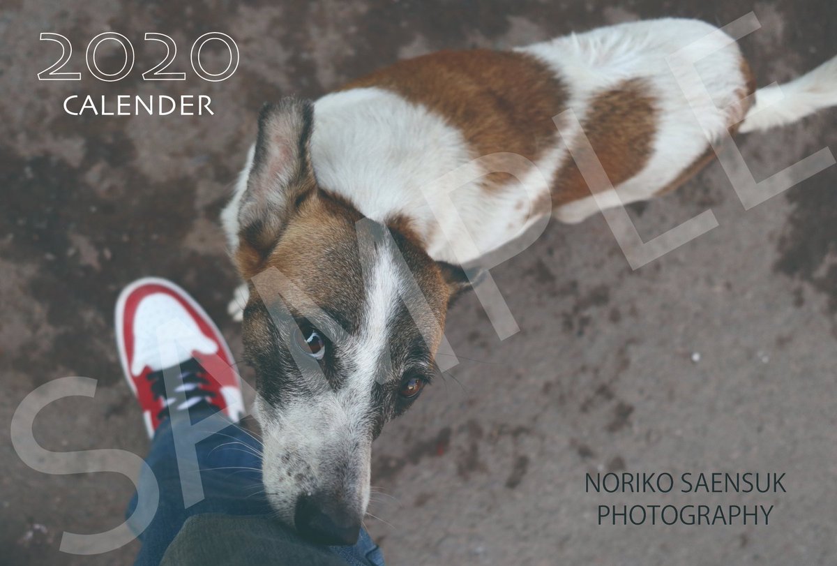 尻尾のない犬 来年のカレンダーの販売を開始します アジアの路上の犬のカレンダーです 10円 送料 詳細はショップ T Co G4zfjoi30a を見てください 去年作ったポストカードもあります 購入はショップで カード払い またはdmで直接連絡 尻尾のない犬 来年のカレンダーの販売を開始します アジアの路上の犬のカレンダーです 10円 送料 詳細はショップ T Co G4zfjoi30a を見てください 去年作ったポストカードもあります 購入はショップで カード払い またはdmで直接連絡