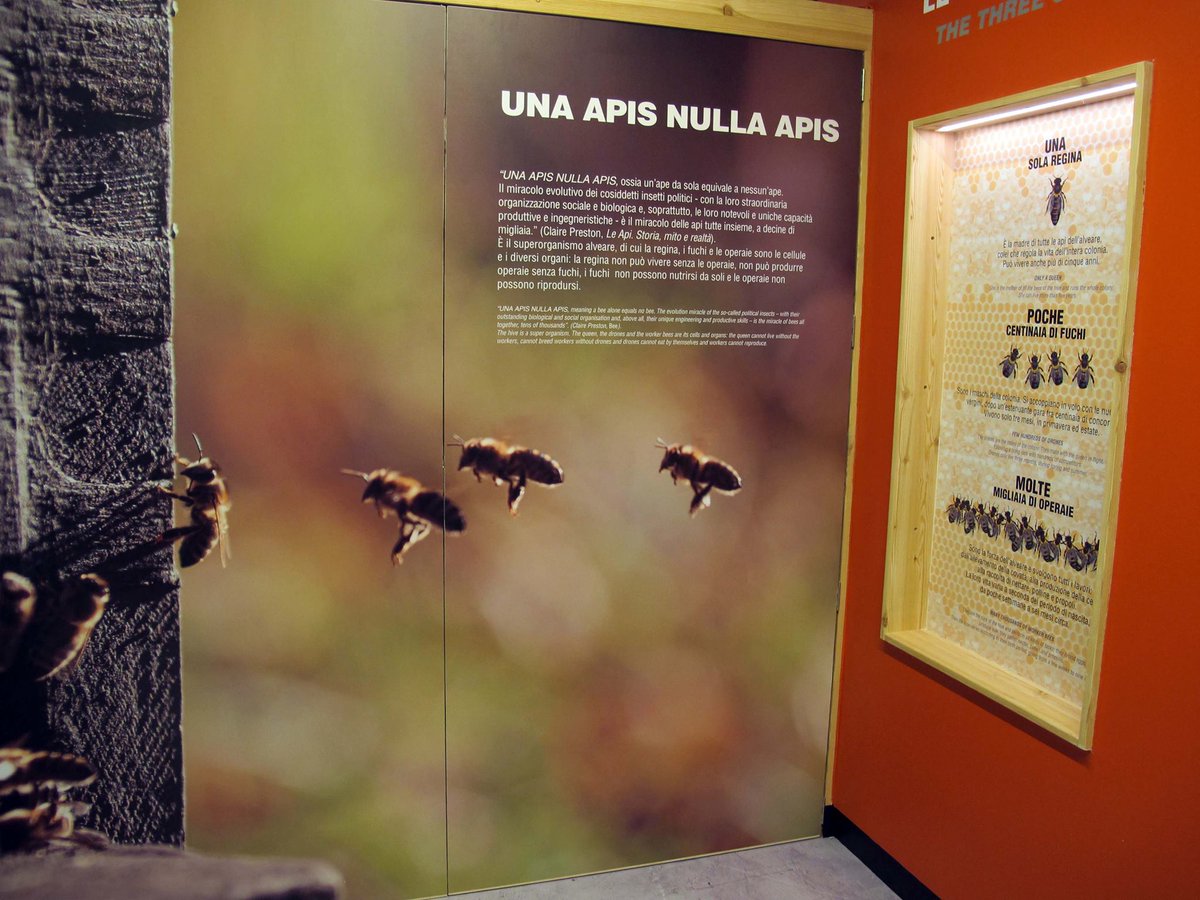 AptValdiSole's tweet photo. Uno spazio museale dedicato all'insetto più prezioso per il nostro ecosistema: hai mai visitato il #MMape, il #Museo Mulino dell'#Ape?
Scopri le loro abitudini e la stupefacente vita dell'alveare.
P.S. Il Museo è aperto per il ponte dei Santi!
Per info: https://t.co/hGbGSXJGWL https://t.co/2qt4t2Libn