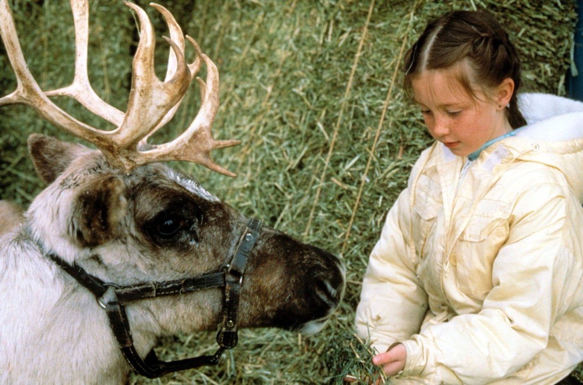Tonight, we are recording our episode on the 1989 film, #Prancer. 