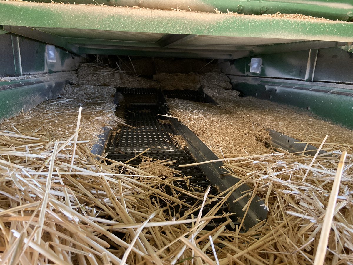 Brendan Boyd tweet media