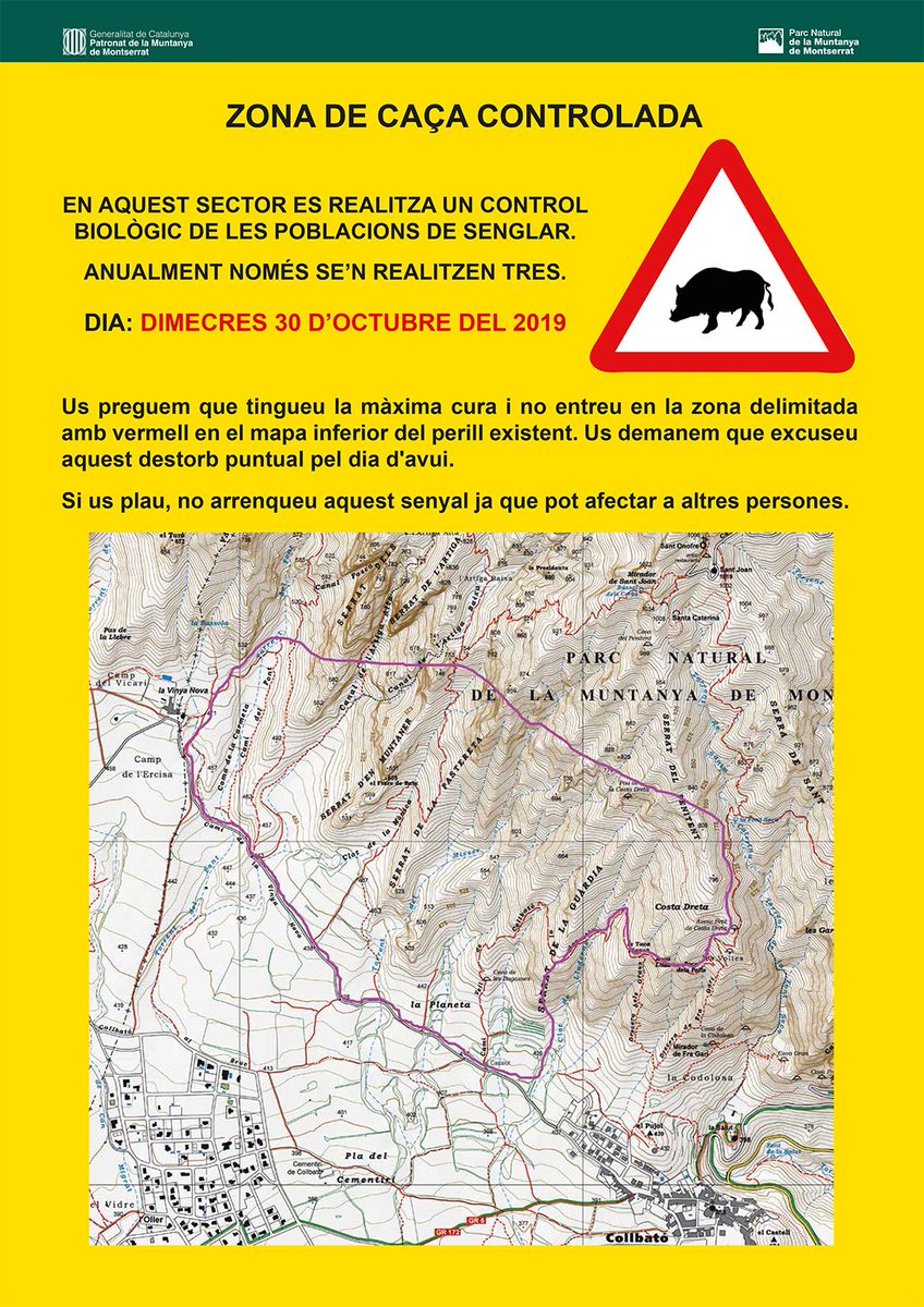⚠️ Demà dimecres 30 batuda de #senglar 🐗 pel Sector 2/3 - 
Collbató de 7 a 17 h. Respecteu la senyalització i per seguretat absteniu-vos d'accedir 🚷 a la zona delimitada de caça!