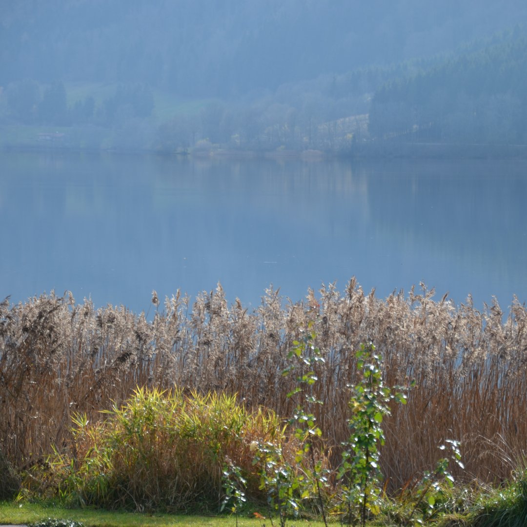 Jetzt wird es kälter ❄ Aber die nächste #Bausaison steht schon vor der Tür. Warten Sie nicht bis zum letzten Moment, sondern suchen Sie sich mit einer warmen Tasse Tee gleich Ihre Produkte von #3ks aus. Hochqualitativ, langlebig, verlässlich! Damit es richtig gut wird 👍