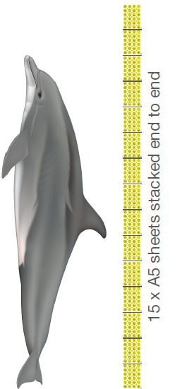 fun_stickers_ed's tweet photo. Did you know that a Bottle Nose Dolphin grows to 3m in length? One of our sticker packs laid end to end is 3.15m, just shows that our Reward stickers have real Porpoise 🤣 (I'll get my coat!)
https://t.co/L8sQlGWU8f
#TuesdayThoughts  #dadjokes #rewards #dolphin #tuesdaymotivation https://t.co/6CS23pP4pI